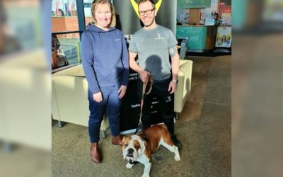 3d leisure site receives outstanding member feedback