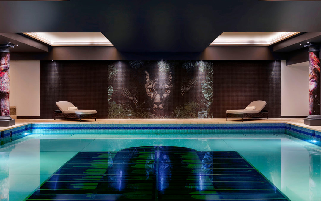 3d Leisure Celebrates 30 years!