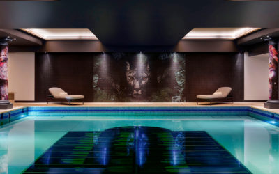 3d Leisure Celebrates 30 years!