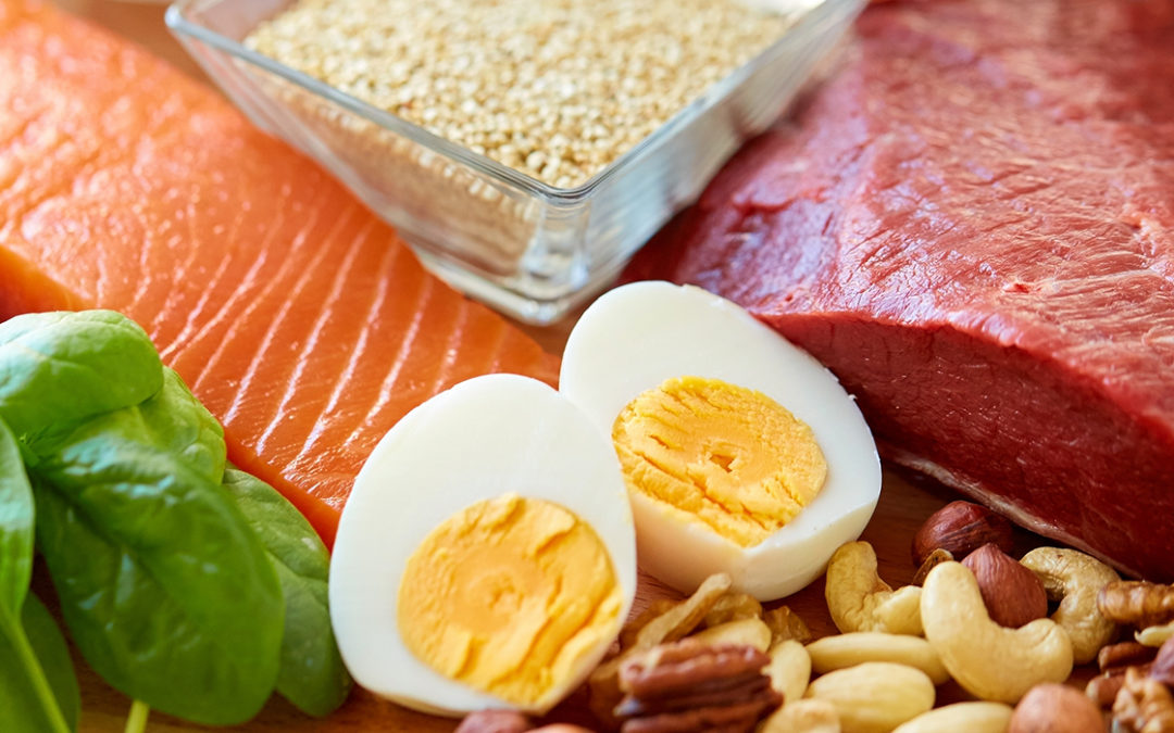 Facts About Protein
