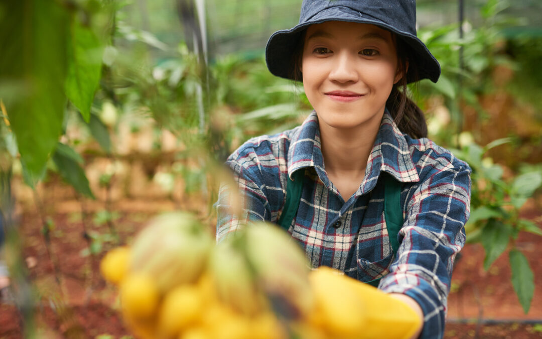 Fuelling Your Workday: Nutrition Tips For Those Working Outdoors