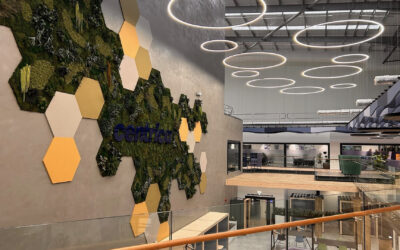 3d Leisure Worked With BaxterStory to Create a Top of the Range Facility for Centrica